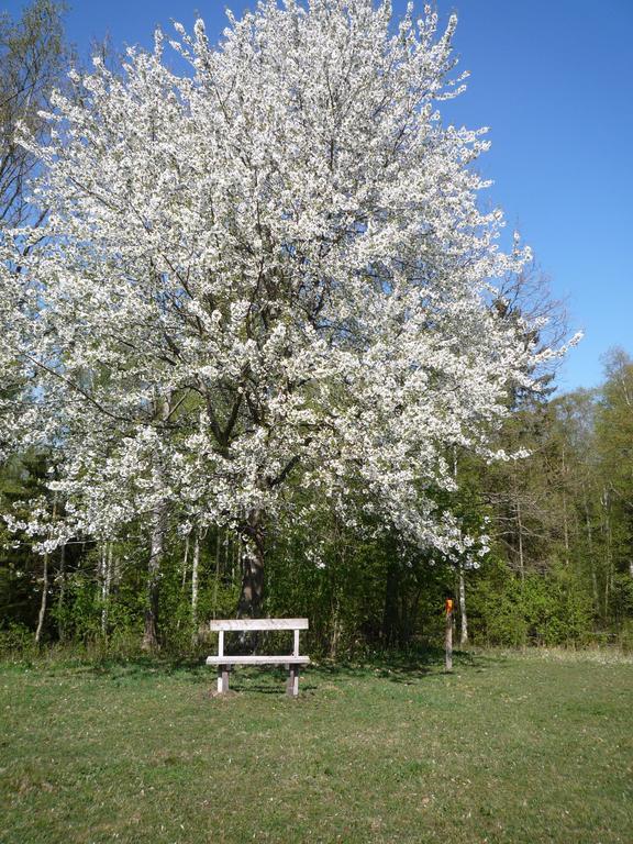 Valle Vandrarhem Axvall Экстерьер фото