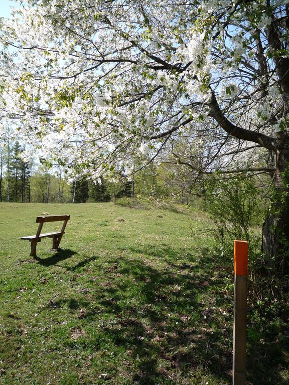 Valle Vandrarhem Axvall Экстерьер фото