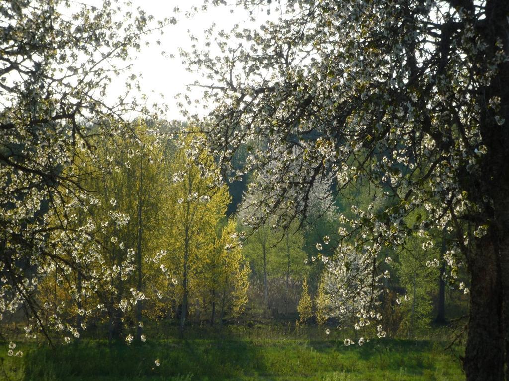 Valle Vandrarhem Axvall Экстерьер фото